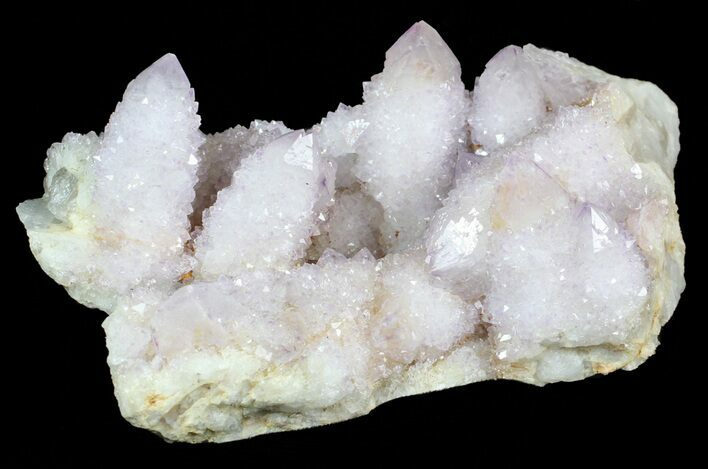 Cactus Quartz (Amethyst) Cluster - Large Crystals #62962